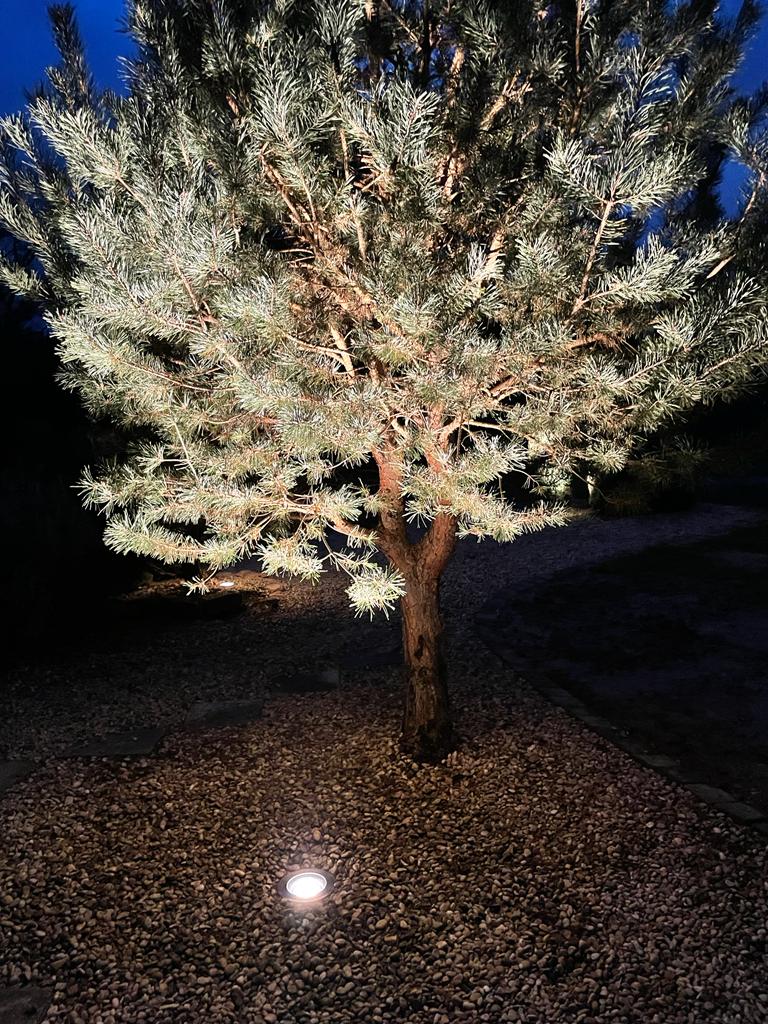 SARL Christophe STOCHETTI — Photos 14